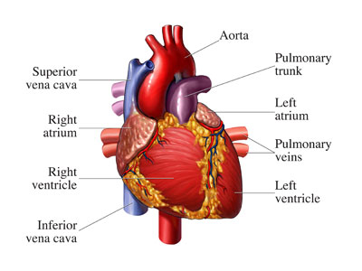 depression-cause-heart-attack-1.jpg