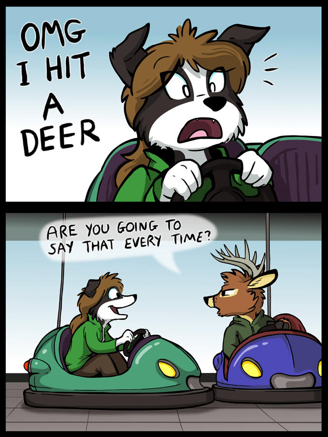 Hit a deer.jpg