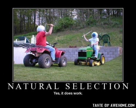 natural selection.jpg
