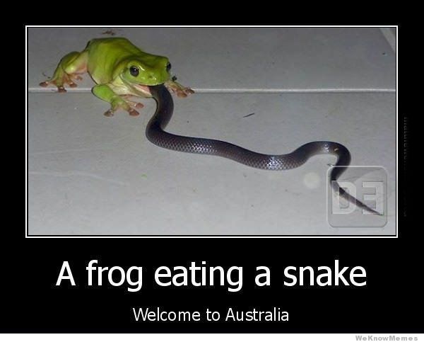 welcome-to-australia.jpg